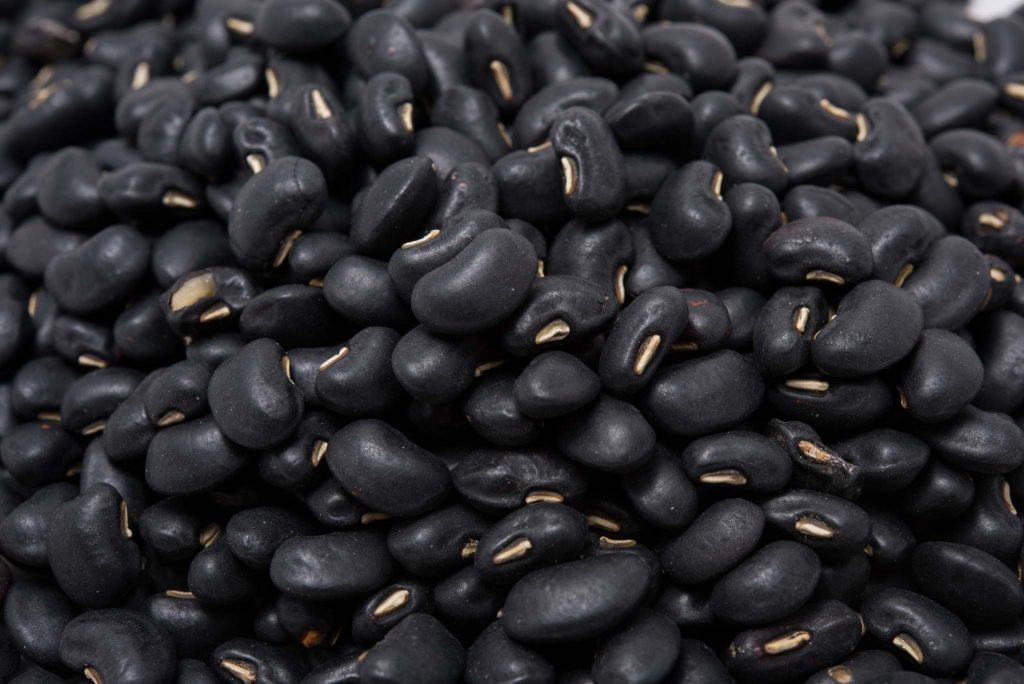 Black Turtle Beans: Description, Flavor, Benefits, And Uses - Gardeners ...