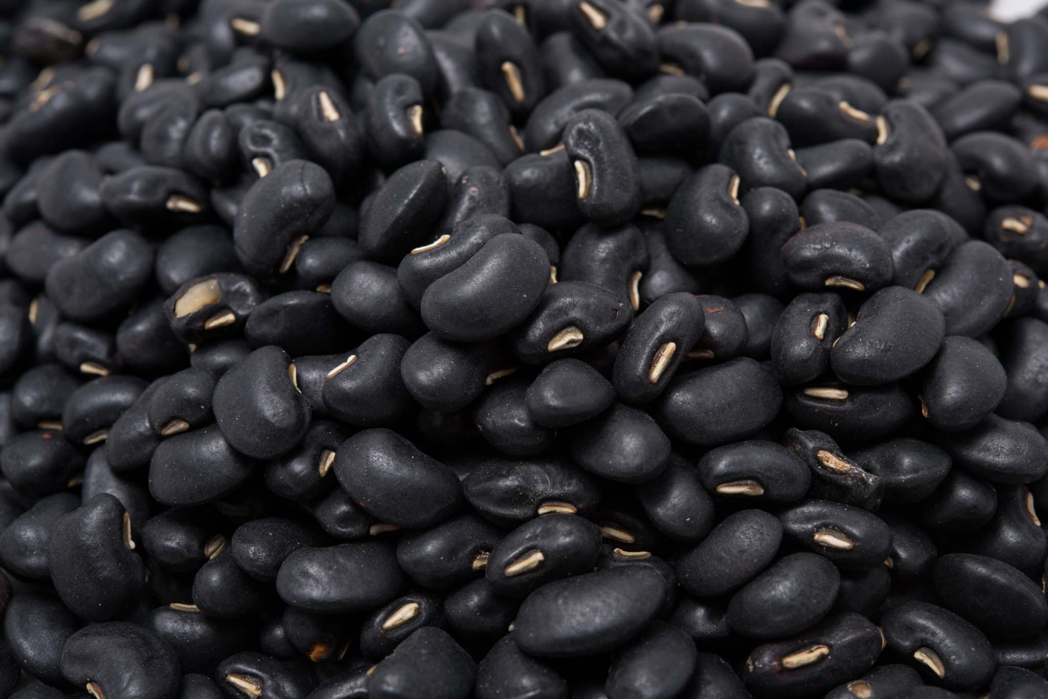 black turtle beans