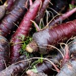 Cosmic Purple Carrot