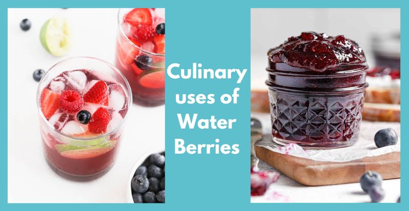 culinary uses of water berries