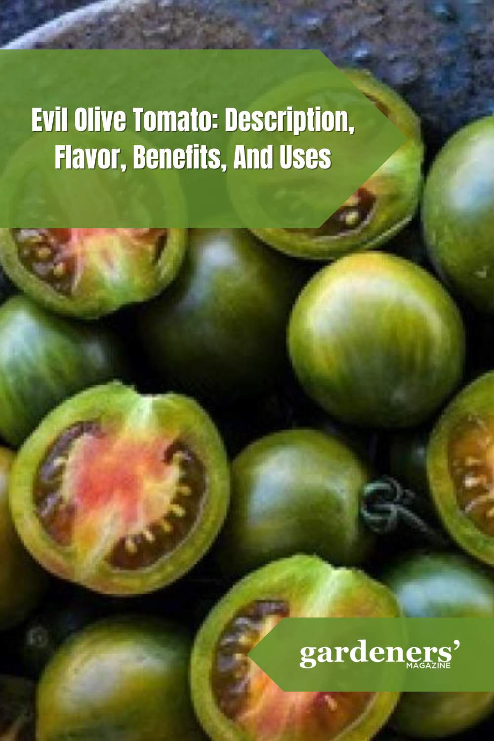 Evil Olive Tomato Description, Flavor, Benefits, And Uses Gardeners