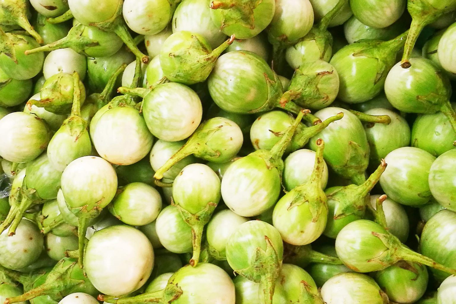 Green Eggplant Description, Flavor, Benefits, And Uses Gardeners' Magazine