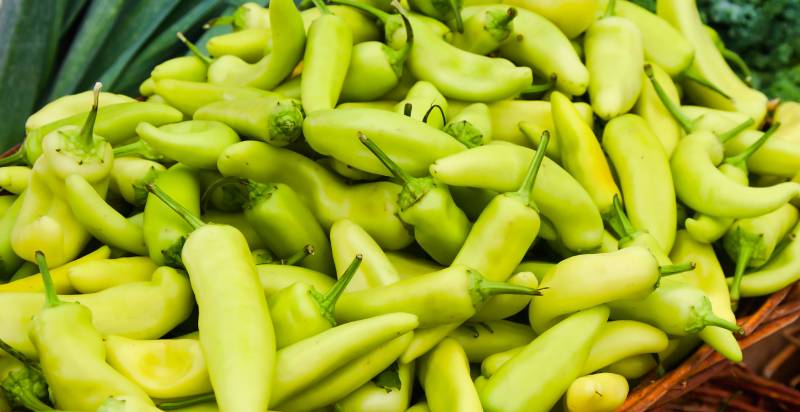 Harvested Hungarian Wax Peppers
