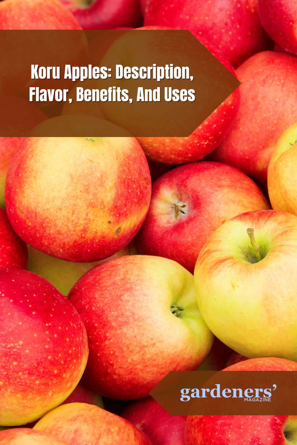 Koru Apples Description, Flavor, Benefits, And Uses Gardeners' Magazine