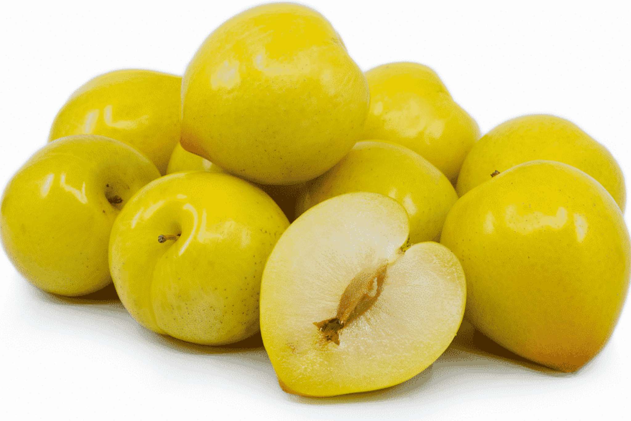 Lemon Plum