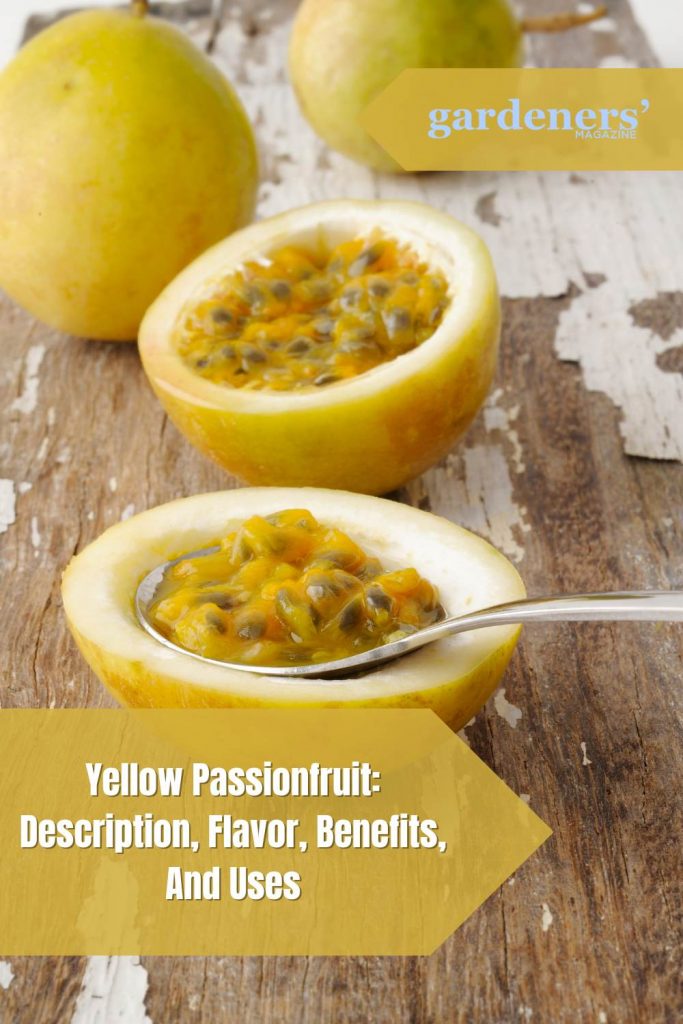 Yellow Passionfruit Description