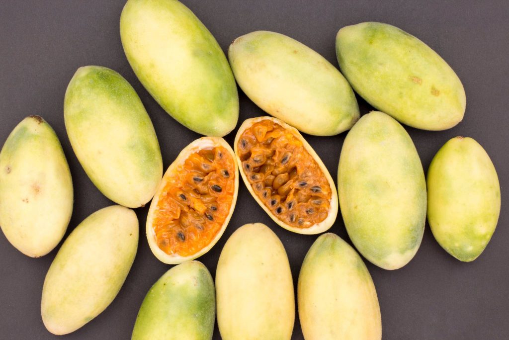 Banana Passionfruit Description, Flavor, Benefits, And Uses
