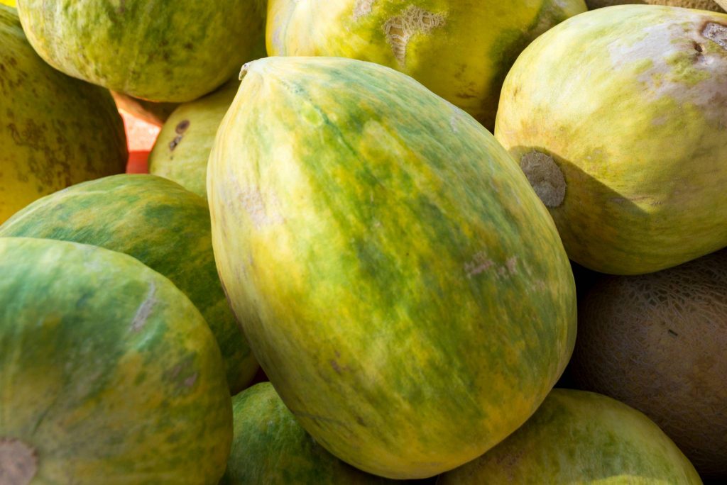 Crenshaw Melon Description, Flavor, Benefits, And Uses Gardeners