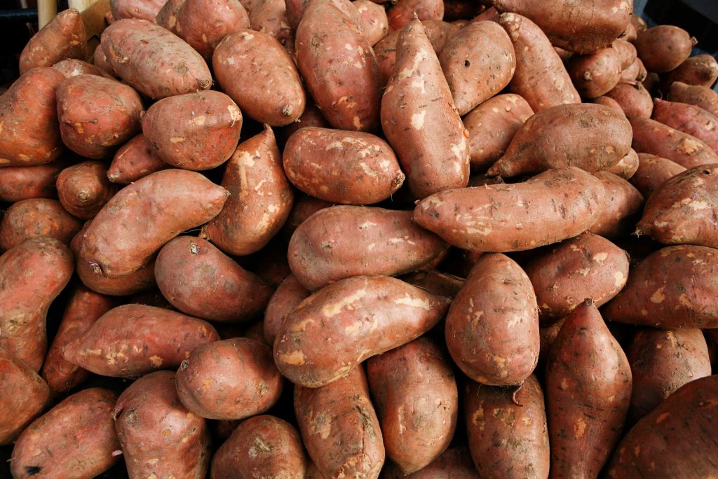 Hannah Sweet Potatoes Description, Flavor, Benefits, And Uses