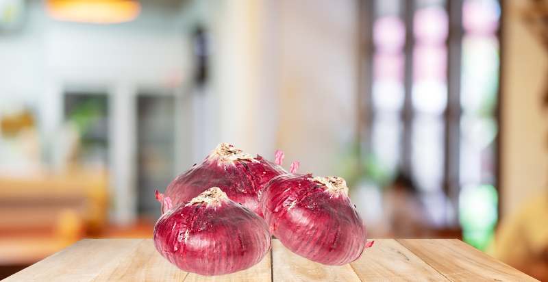 Harvested Bermuda Onion