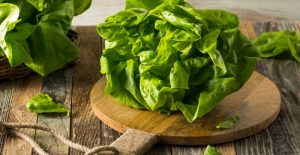 Boston Bibb Lettuce: Description, Flavor, Nutrition, And Uses ...