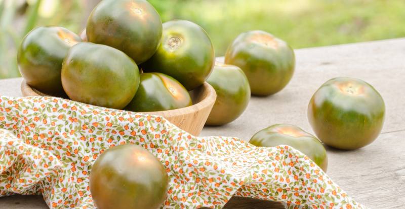 Harvested Kumato Heirloom Tomatoes