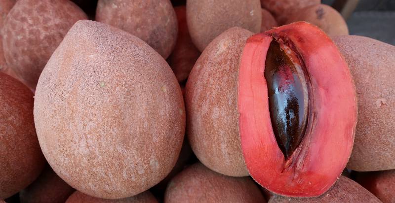 Harvested Mamey Sapote