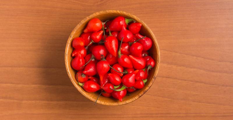 Harvested Red Biquinho Peppers