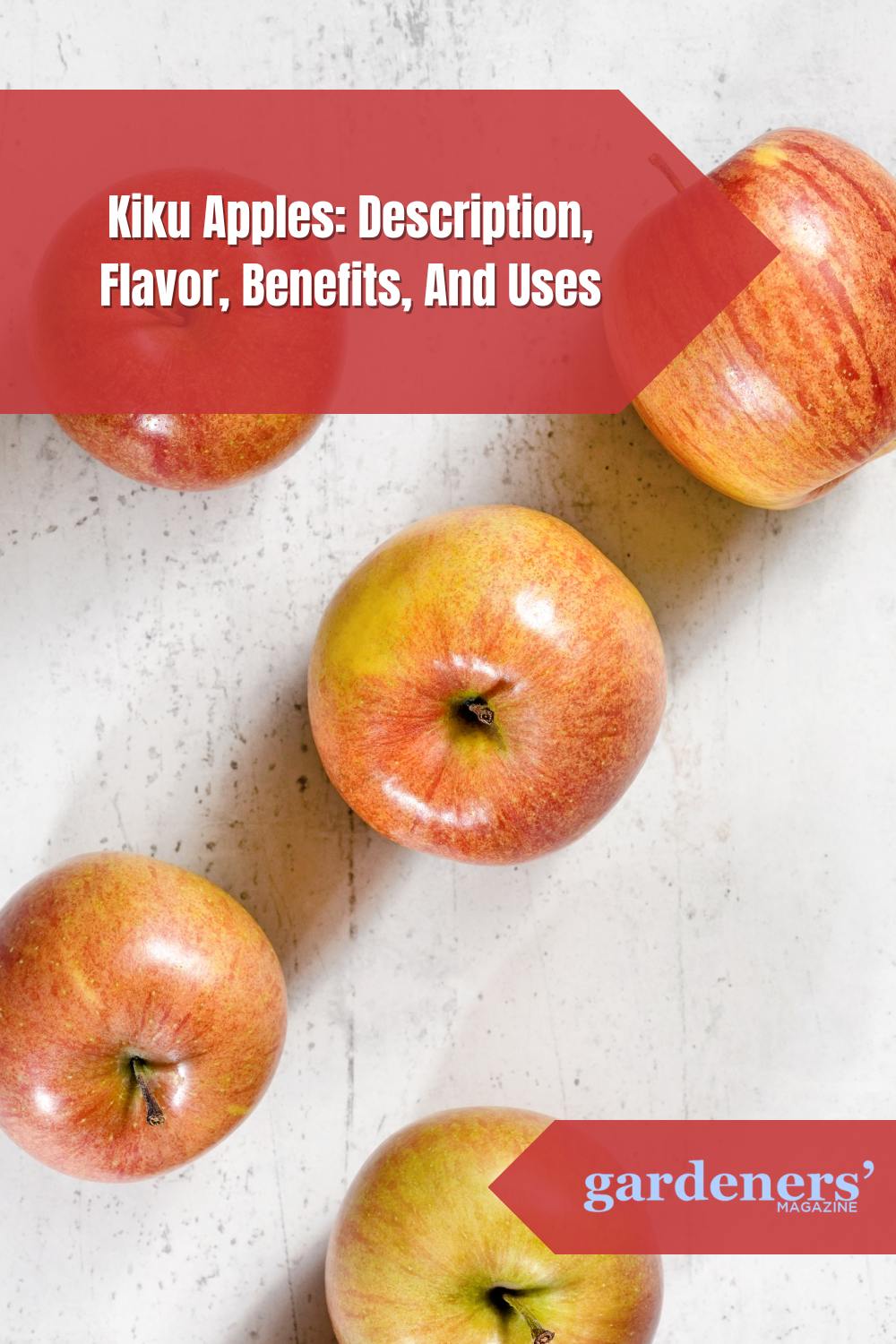 Kiku Apples Description, Flavor, Benefits, And Uses Gardeners' Magazine