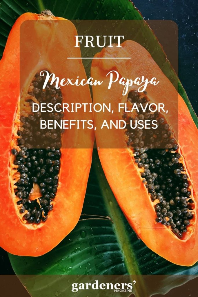 Mexican Papaya Description