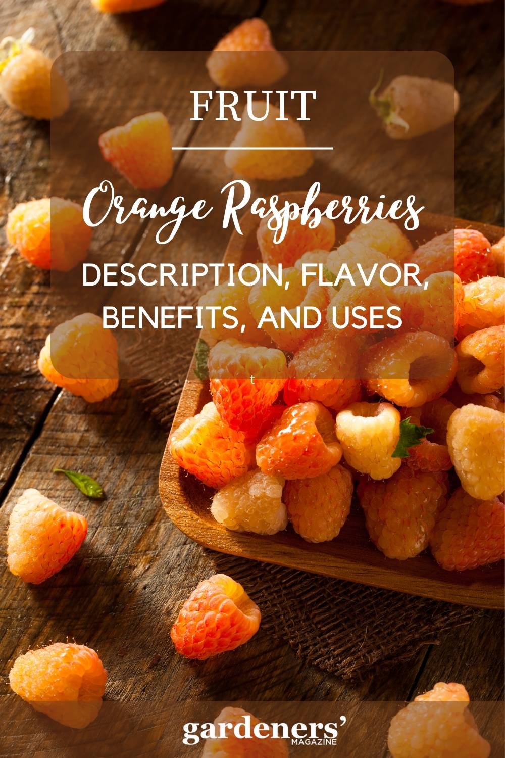 Orange Raspberries Description, Flavor, Benefits, And Uses Gardeners