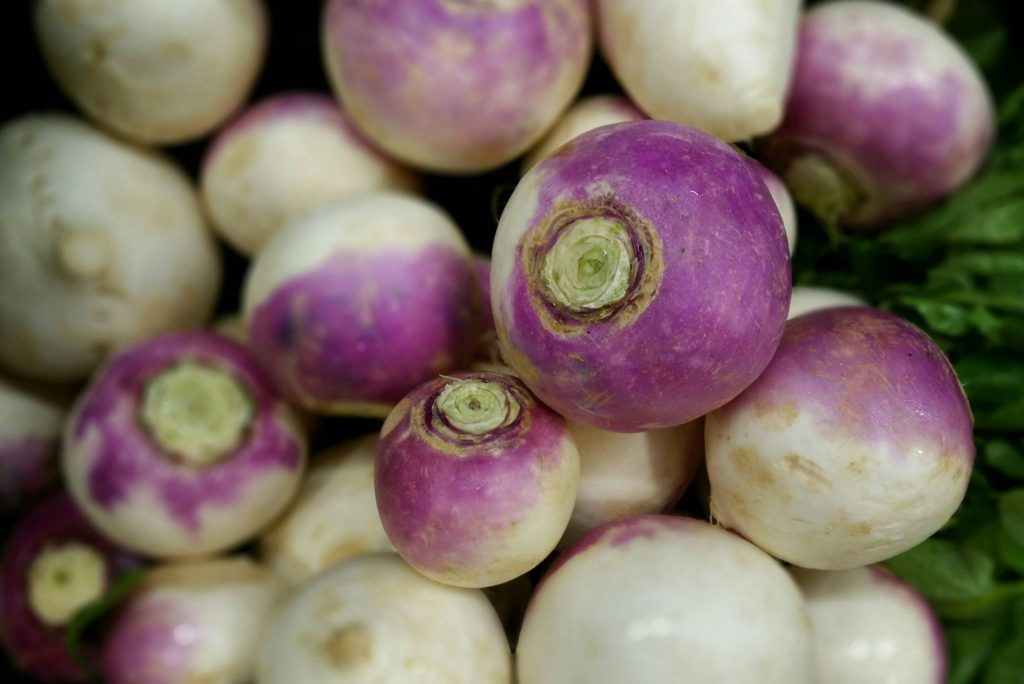 Purple Top Turnips Description, Flavor, Benefits, And Uses Gardeners
