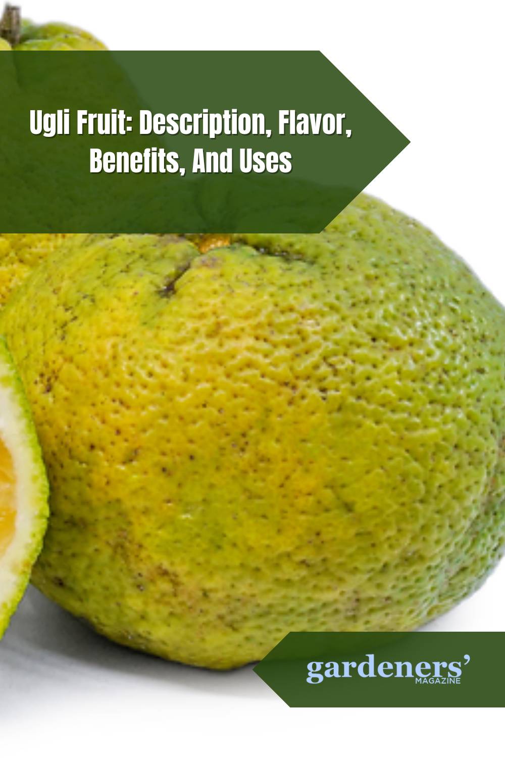 Ugli Fruit: Description, Flavor, Benefits, And Uses - Gardeners' Magazine