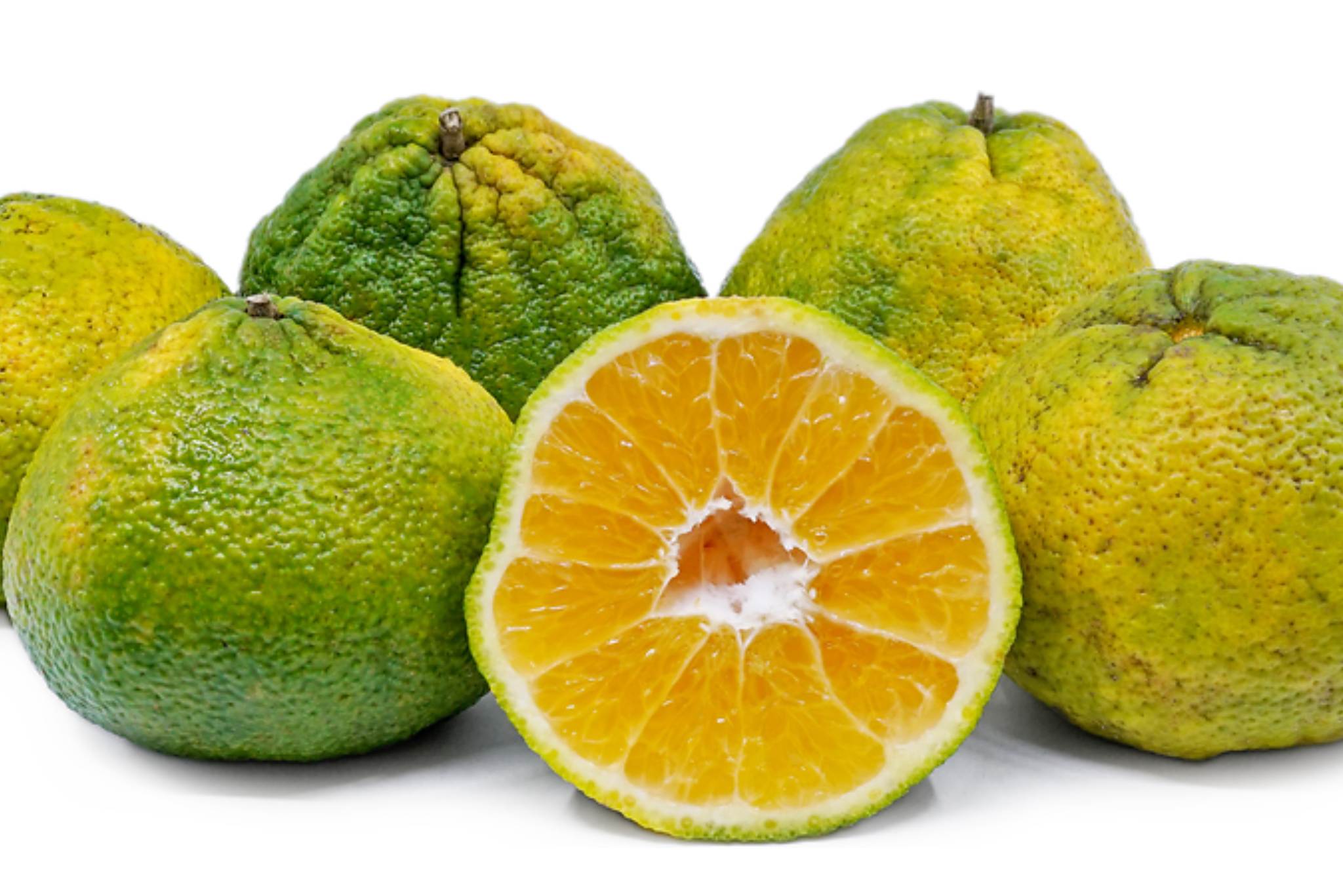 Ugli Fruit