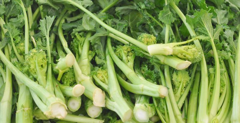 Uses of Spigarello Broccoli