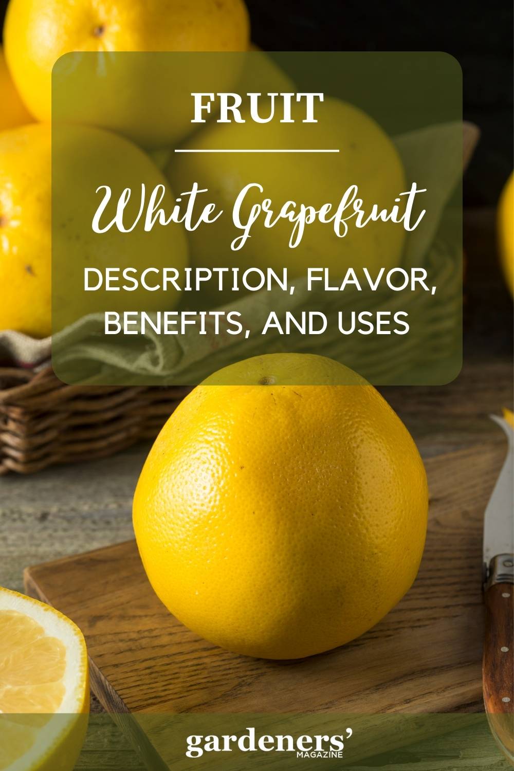 White Grapefruit Description, Flavor, Benefits, And Uses Gardeners