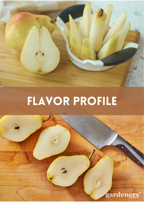 FLAVOR PROFILE OF GOLDEN PEARS