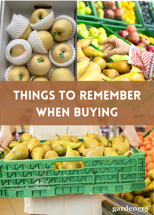 THINGS TO REMEMBER WHEN BUYING