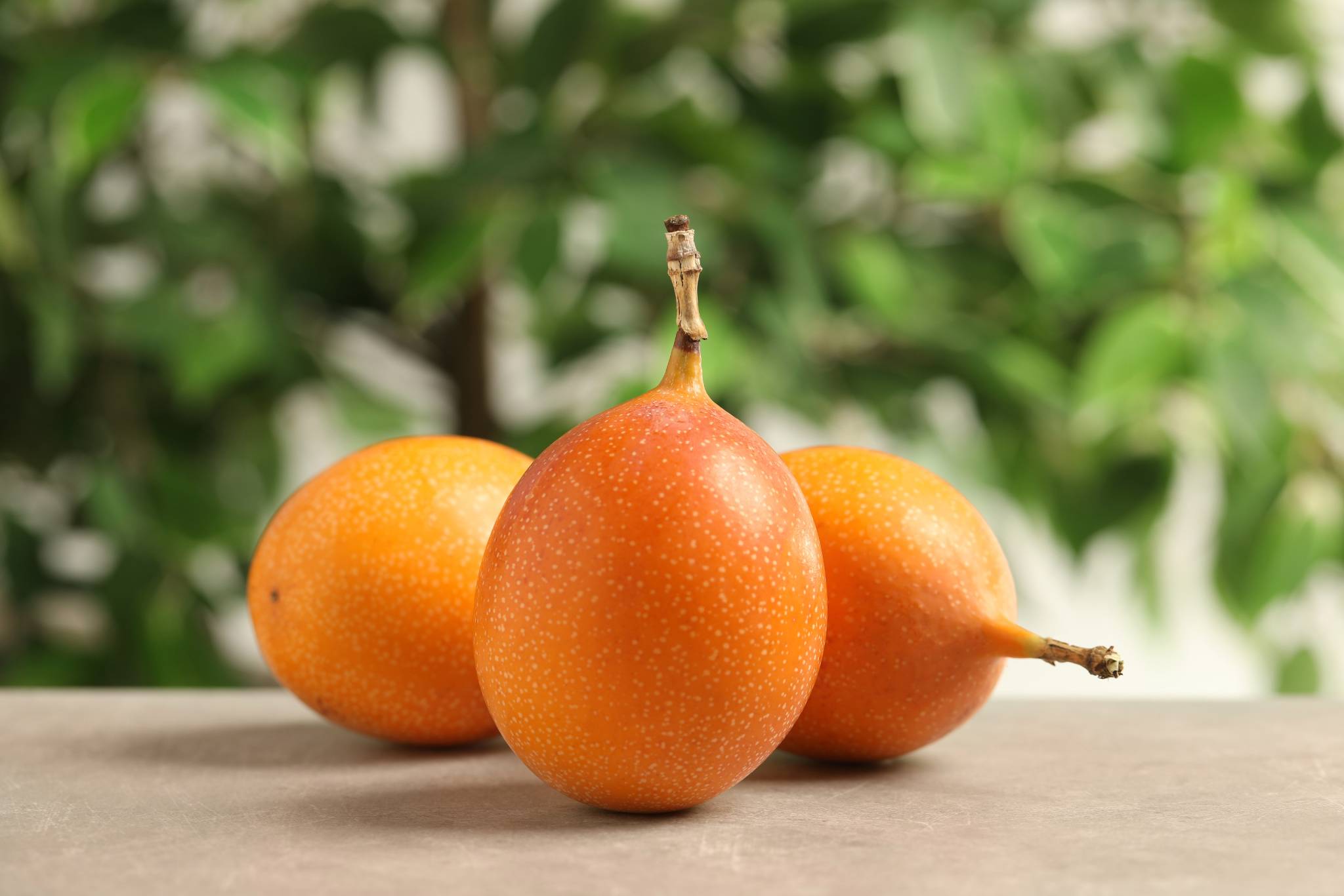 granadilla passionfruit