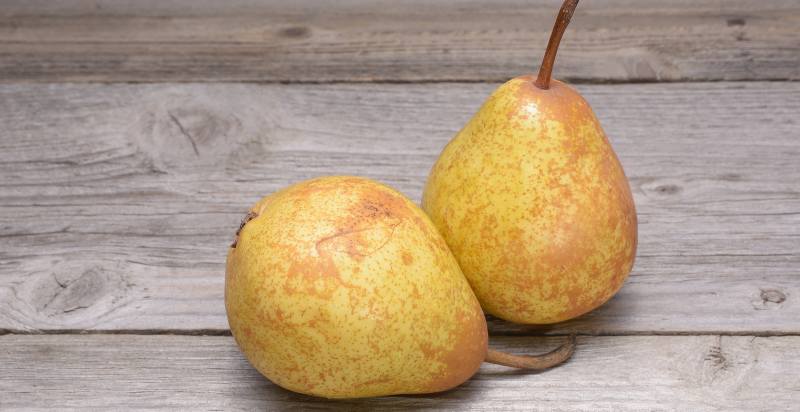 harvested golden pear