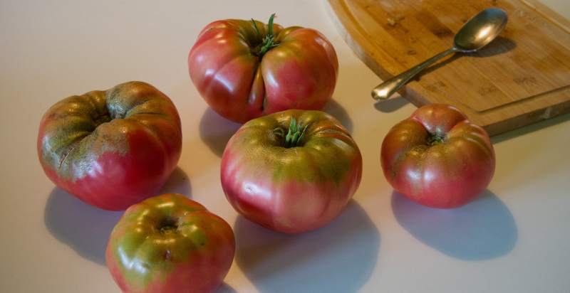 Harvested Mortgage Lifter Tomato