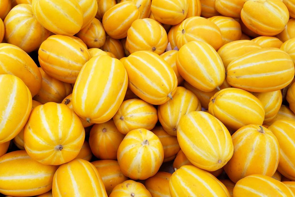 Korean Melon Taste, Benefits And Uses Gardeners' Magazine