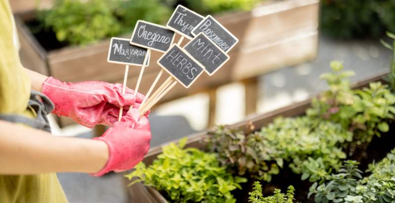 Label Your Plants