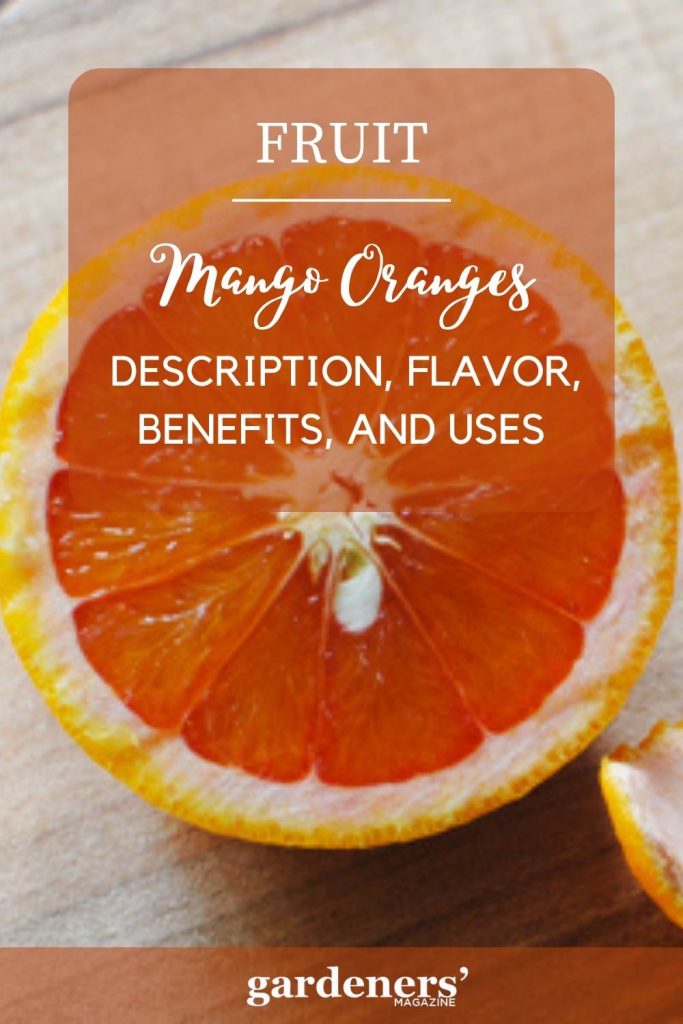 mango oranges description