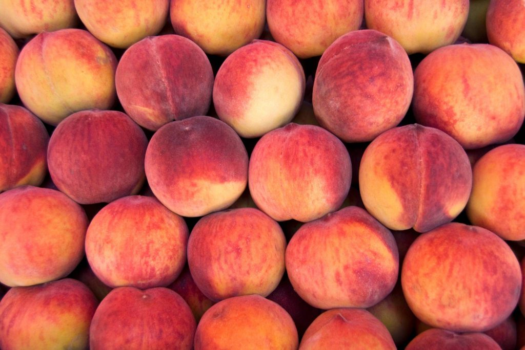 O'Henry Peaches Flavor, Benefits, And Uses Gardeners' Magazine