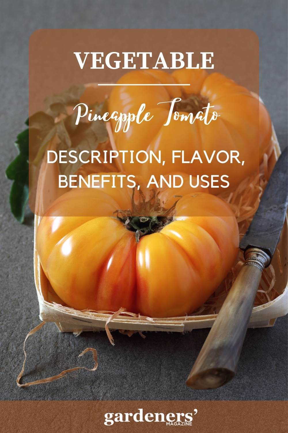 Pineapple Tomatoes Flavor, Benefits, And Uses Gardeners' Magazine