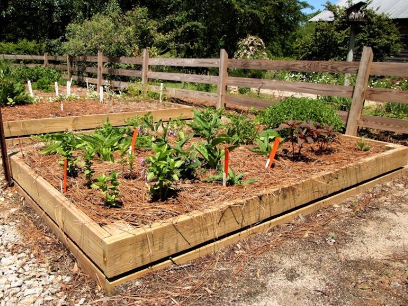 Raised Garden Bed