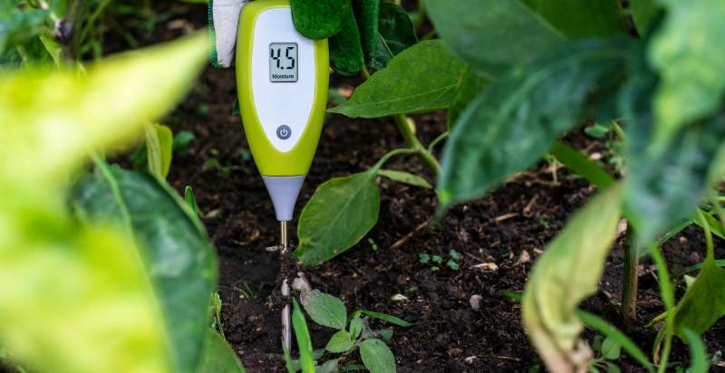 Test your Garden Soil