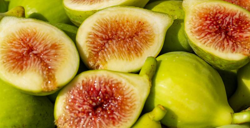 uses of green fig