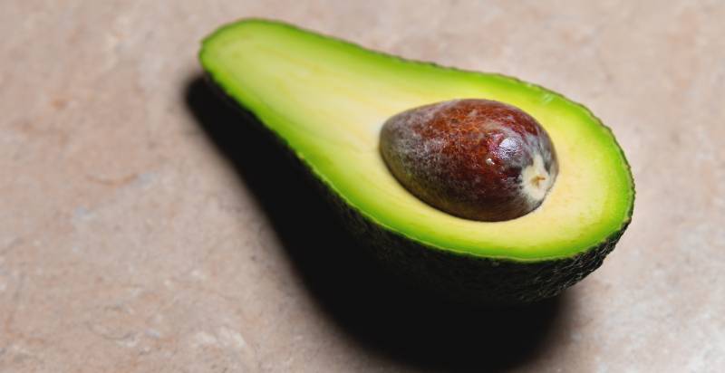 uses of zutano avocado