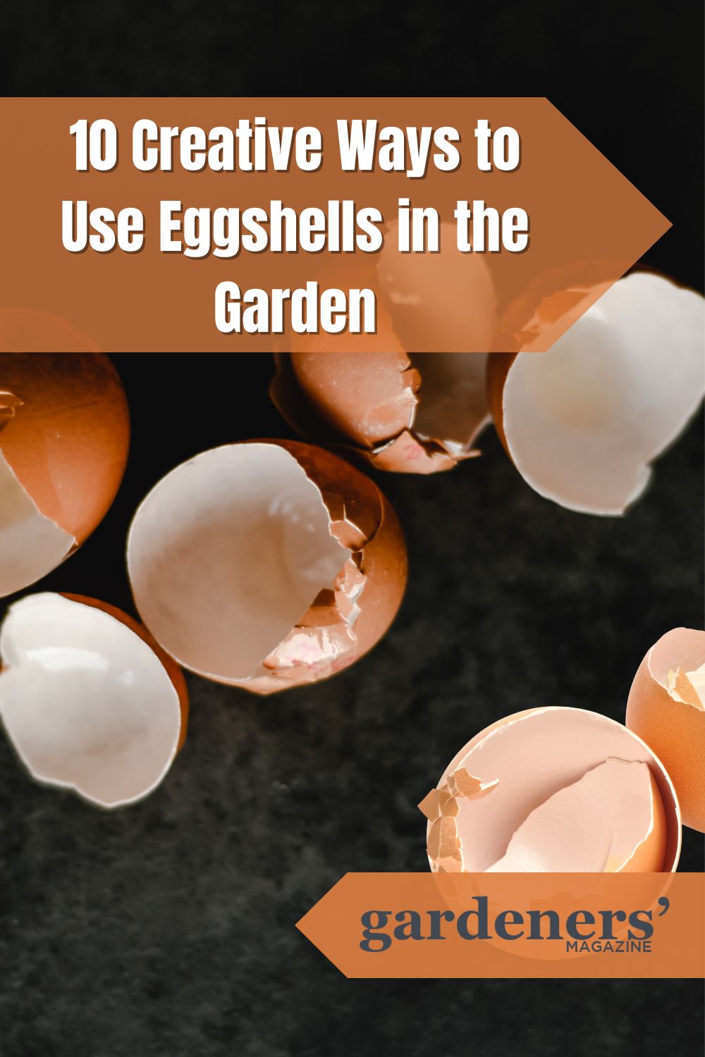 Creative Ways To Use Eggshells In The Garden 