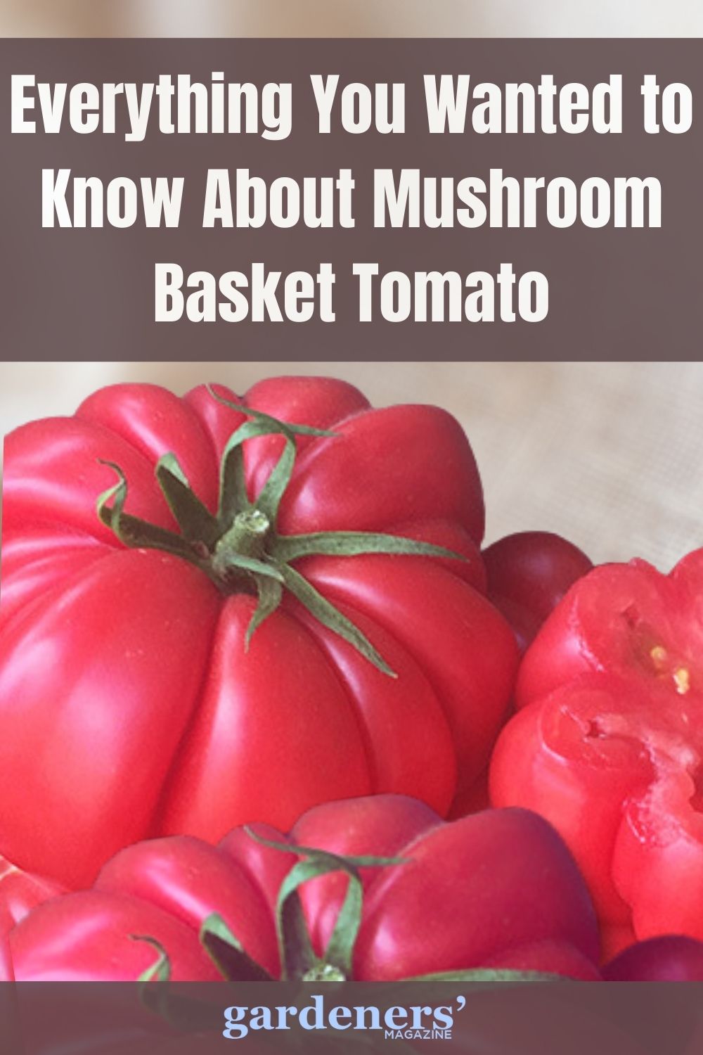 Everything You Wanted to Know About Mushroom Basket Tomato Gardeners' Magazine