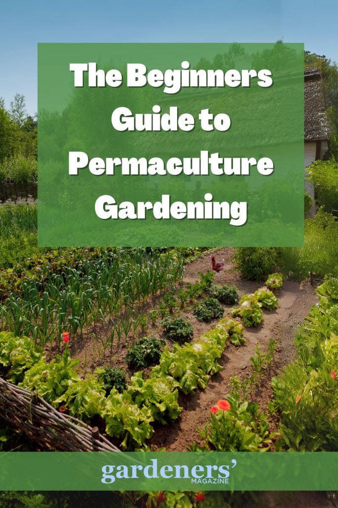 Permaculture Garden