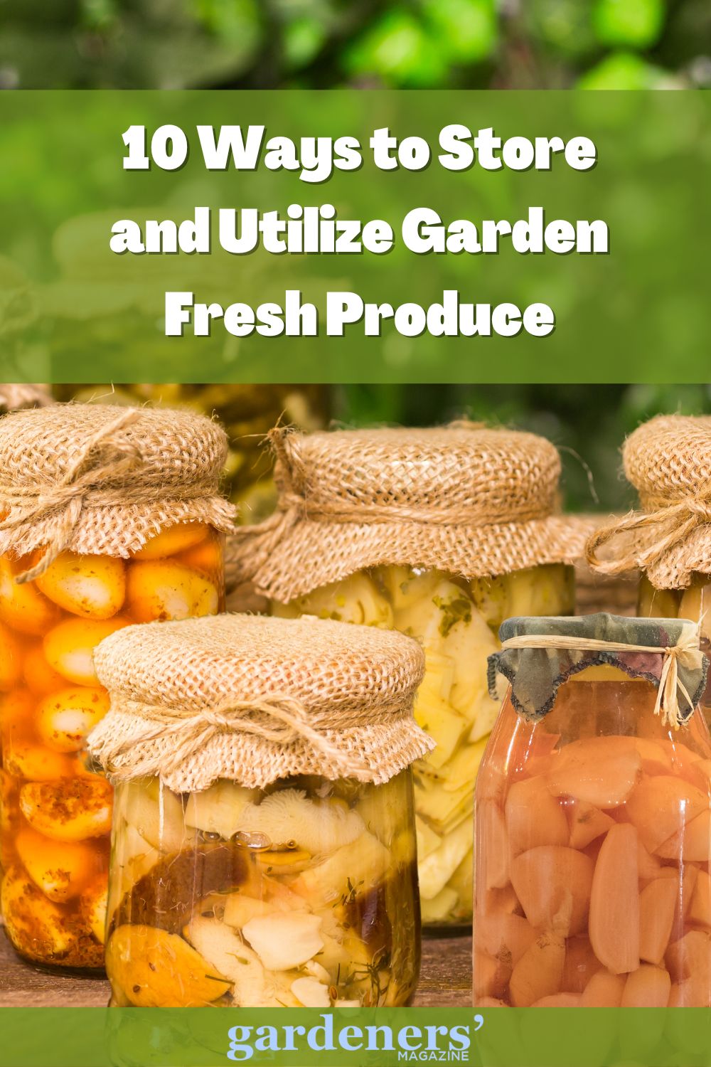 Garden fresh produce in canned bottles