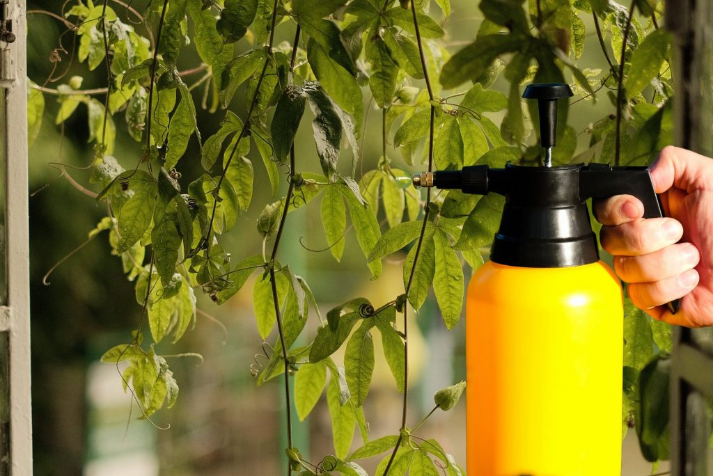 the-best-garden-sprayers-for-a-clean-and-healthy-garden