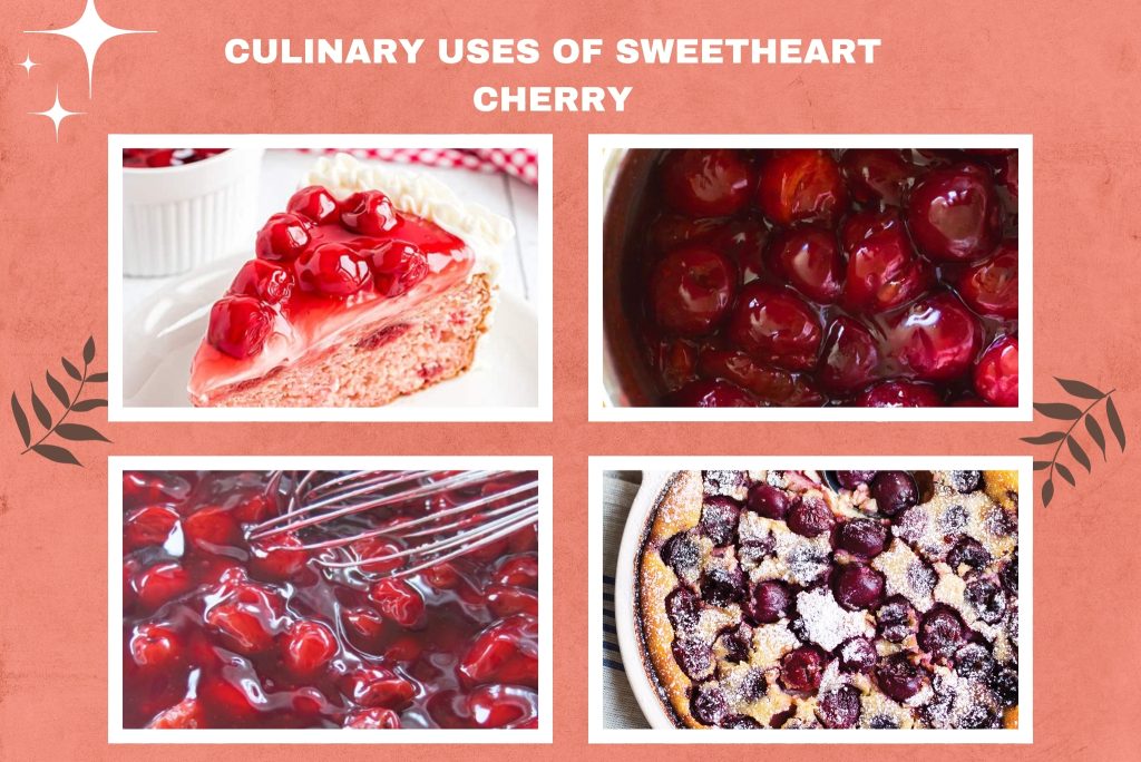  culinary uses sweetheart cherry 