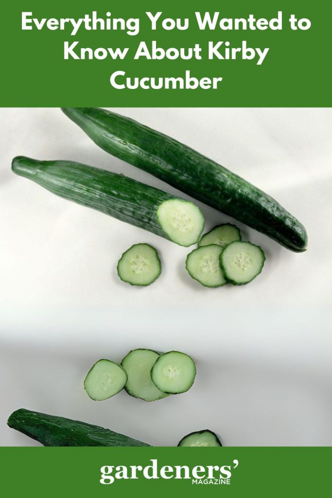 Kirby cucumbers sliced and whole