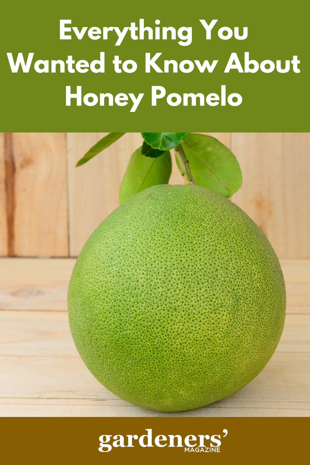Everything You Wanted To Know About Honey Pomelo