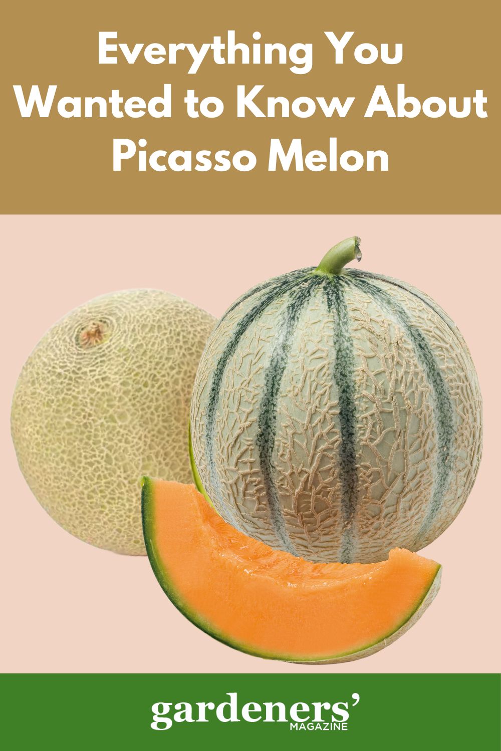 Everything You Wanted To Know About Picasso Melon