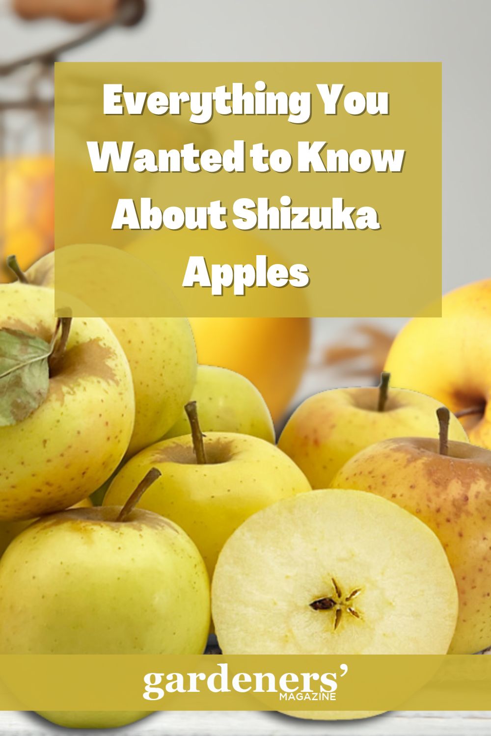 Fresh Shizuka apples on display